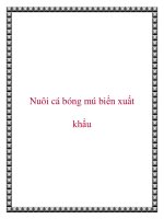 Nuôi cá bóng mú biển xuất khẩu potx