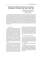 Bước đầu tìm hiểu mối liên quan của Chlamydia Trachomatis với bệnh viêm khớp phản ứng potx