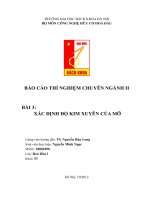 BÁO CÁO THÍ NGHIỆM CHUYÊN NGÀNH II BÀI 3: XÁC ĐỊNH ĐỘ KIM XUYÊN CỦA MỠ potx
