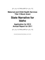 Maternal and Child Health Services Title V Block Grant State Narrative for Idaho Application for 2013 Annual Report for 2011 pot