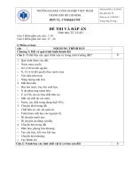 de cuong on tap mon suy thoai va bao ve dat de tu luan