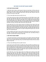 SÁP NHẬP VÀ HỢP NHẤT DOANH NGHIỆP doc