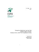 Enterprise Adjustment and the Role of Bank Credit in Russia: Evidence from a 420 Firm''''s Qualitative Survey pdf