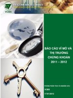 BÁO CÁO VĨ MÔ VÀ THỊ TRƯỜNG CHỨNG KHOÁN 2011-2012 doc