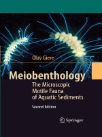 Meiobenthology The Microscopic Motile Fauna of Aquatic Sediments pot