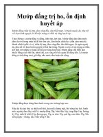 Mướp đắng trị ho, ổn định huyết áp pdf