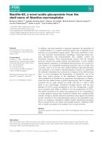 Báo cáo khoa học: Nautilin-63, a novel acidic glycoprotein from the shell nacre of Nautilus macromphalus doc