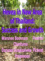 Hevea in New Area of Thailand: Success and Growth potx
