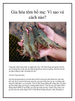 Gia hóa tôm bố mẹ: Vì sao và cách nào? pdf
