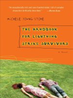 Handbook for Lightning Strike Survivors By Michele Young-Stone docx