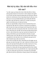 Bộ não bắt đầu như thế nào? pptx