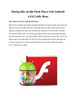 Hướng dẫn cài đặt Flash Player trên Android 4.1/4.2 Jelly Bean docx