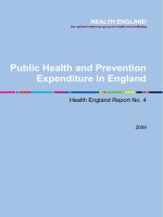 Public Health and Prevention Expenditure in England docx
