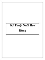 Kỹ Thuật Nuôi Heo Rừng pptx