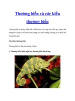 Thường biến và các kiểu thường biến pot