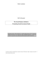 The Social Business Initiative: Promoting Social Investment Funds pptx