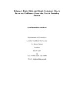 Interest Rate Risk and Bank Common Stock Returns: Evidence from the Greek Banking Sector pot