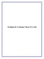 Trị Bệnh Do Vi Khuẩn Vibrio Ở Cá Mú ppt