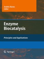 Enzyme Biocatalysis Principles and Applications pptx