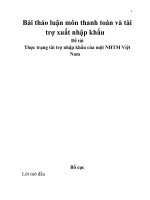 Đề tài Thực trạng tài trợ nhập khẩu của một NHTM Việt Nam docx
