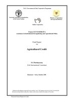 Project GCP/SYR/006/ITA Assistance in Institutional Strengthening and Agricultural Policy: Agricultural Credit docx