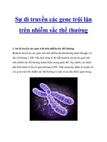 Sự di truyền các gene trội lặn trên nhiễm sắc thể thường pot