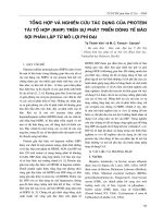 Tổng hợp và nghiên cứu tác dụng của protein tái tổ hợp (rHIP) trên sự phát triển dòng tế bào sợi phân lập từ mô lợi phì đại doc