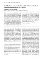 Báo cáo Y học: Identiﬁcation of residues critical for activity of the wound-induced leucine aminopeptidase (LAP-A) of tomato pptx