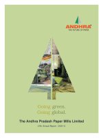 The Andhra Pradesh Paper Mills Limited pptx