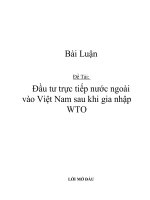 Đề tài: Đầu tư trực tiếp nước ngoài vào Việt Nam sau khi gia nhập WTO ppt