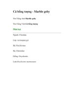 Cá bống tượng - Marble goby docx