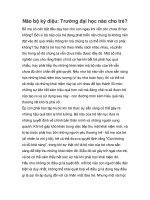 Não bộ kỳ diệu: Trường đại học nào cho trẻ? ppt