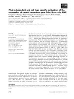 Báo cáo khoa học: PKA independent and cell type speciﬁc activation of the expression of caudal homeobox gene Cdx-2 by cyclic AM pptx