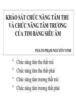KHẢO SÁT CHỨC NĂNG TÂM THU VÀ CHỨC NĂNG TÂM TRƯƠNG CỦA TIM BẰNG SIÊU ÂM docx