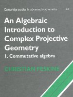 An Algebraic Introduction to Complex Projective Geometry pdf