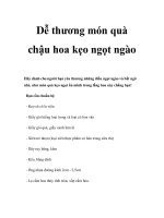 Dễ thương món quà chậu hoa kẹo ngọt ngào pdf