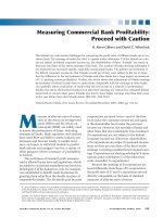 Measuring Commercial Bank Profitability: Proceed with Caution potx