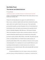 New Media Power: The Internet and Global Activism doc