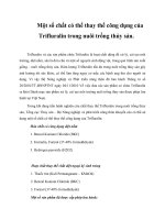 Một số chất có thể thay thế công dụng của Trifluralin trong nuôi trồng thủy sản. pptx