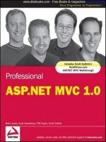Professional ASP.NET MVC 1.0 pot