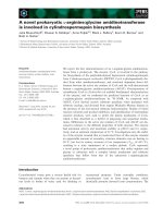 Báo cáo khoa học: A novel prokaryotic L-arginine:glycine amidinotransferase is involved in cylindrospermopsin biosynthesis potx