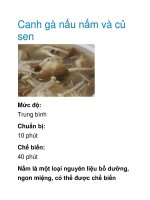 Canh gà nấu nấm và củ sen pdf