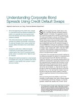 Understanding Corporate Bond Spreads Using Credit Default Swaps potx