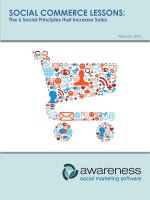 SOCIAL COMMERCE LESSONS: SOCIAL COMMERCE LESSONS: The 6 Social Principles that Increase Sales docx