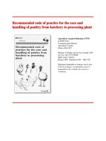 Recommended code of practice for the care and handling of poultry from hatchery to processing plant ppt