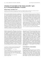Báo cáo Y học: Activation of transcription of the human presenilin 1 gene by 12-O-tetradecanoylphorbol 13-acetate pdf