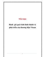 Đánh giá quá trình hình thành và phát triển của thương hiệu Vissan