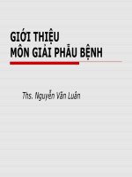Giải phẫu bệnh doc
