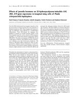 Báo cáo khoa học: Effects of juvenile hormone on 20-hydroxyecdysone-inducible EcR, HR3, E75 gene expression in imaginal wing cells of Plodia interpunctella lepidoptera ppt