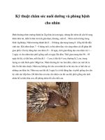 Kỹ thuật chăm sóc nuôi dưỡng và phòng bệnh cho nhím doc